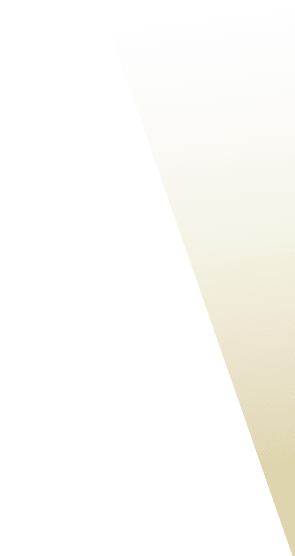 Vector